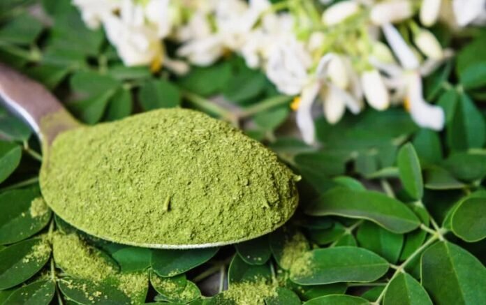 Moringa Tree Benefits A Miracle for Health and Wellness